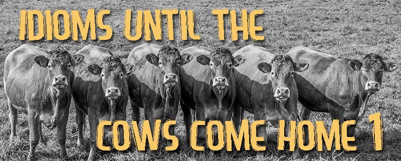 until-the-cows-come-home-etsy