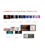 Interpreting Anatomy Bundle